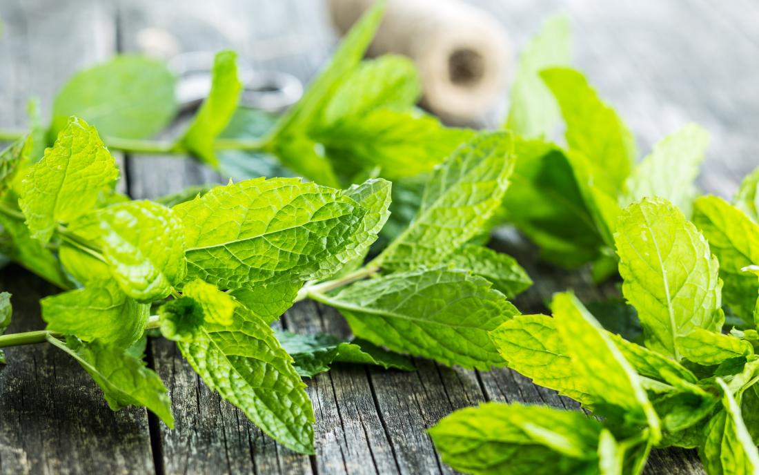 Mint leaf: It’s benefits and Uses
