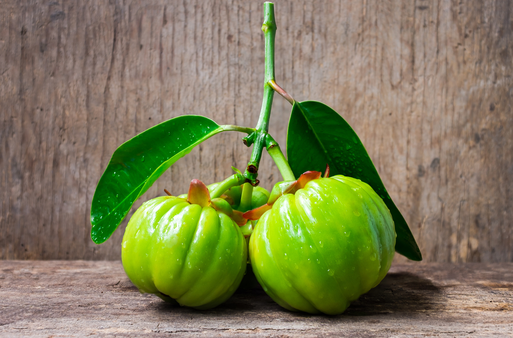 Discover Garcinia Extract for Weight Loss | Boost Your Journey